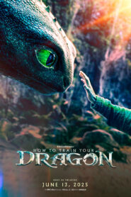 How to Train Your Dragon