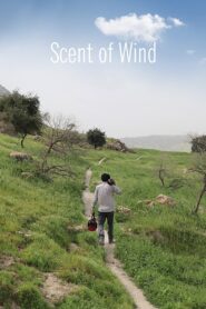 Scent of Wind