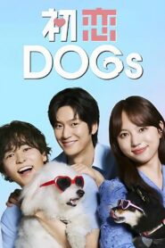 Love is for the Dogs