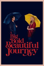 A Big Bold Beautiful Journey